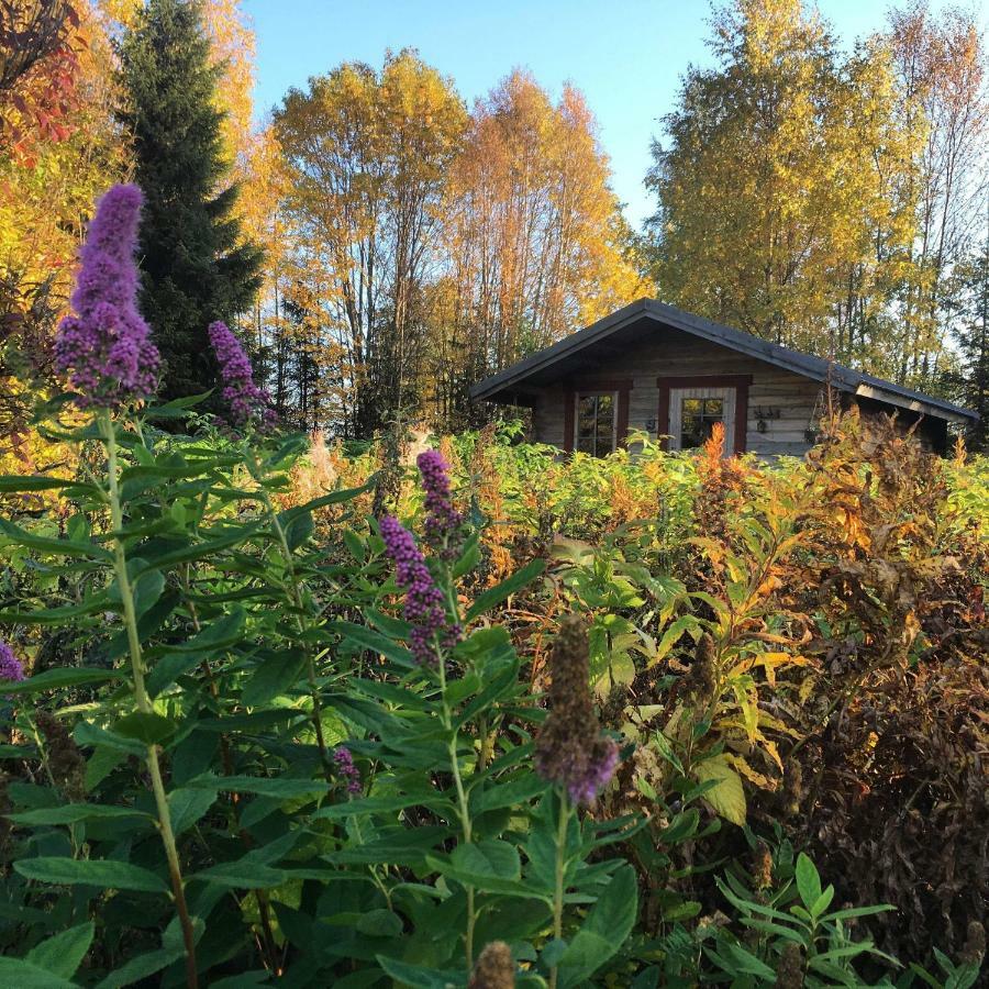 Cabin On Husky Farm Hotel Stromsund Exterior photo